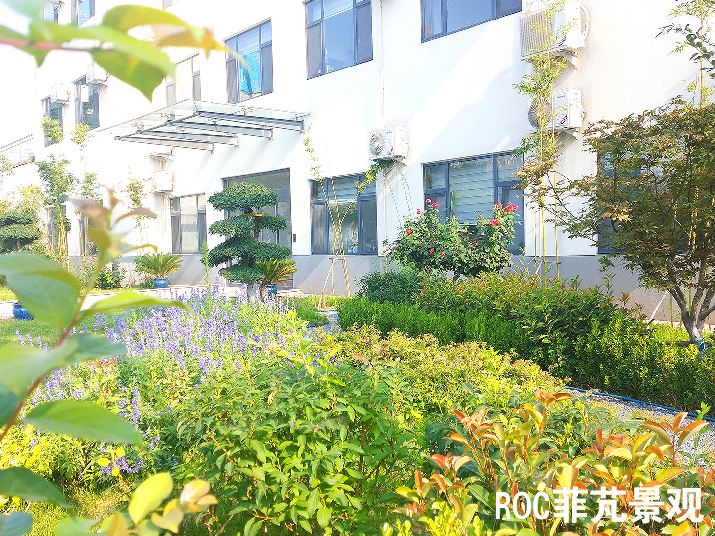 菲芃景觀·春夏養護